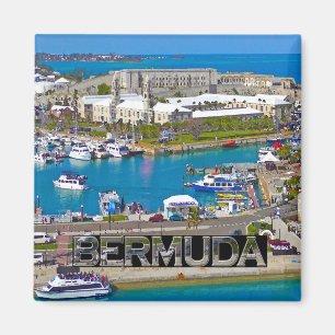 Bermuda Magneet