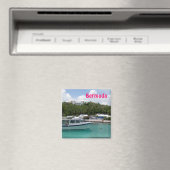 Bermuda magneet (Insitu (Vaatwasser))