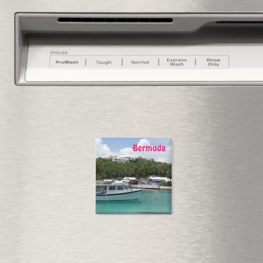 Bermuda magneet (Insitu (Vaatwasser))