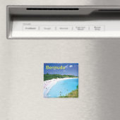 Bermuda magneet (Insitu (Vaatwasser))