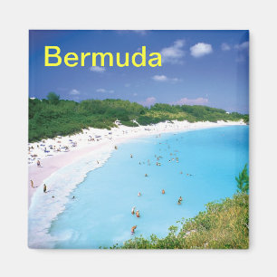 Bermuda magneet