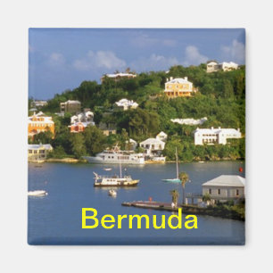 Bermuda magneet
