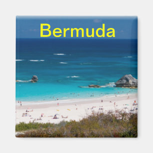 Bermuda magneet
