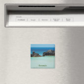 Bermuda Magneet (Insitu (Vaatwasser))