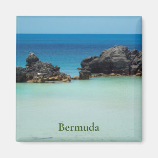 Bermuda Magneet