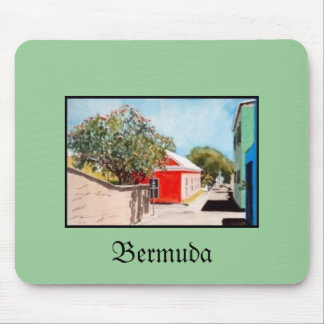 Bermuda Muismat