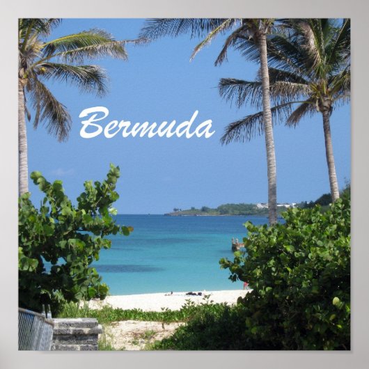 Bermuda Poster (Voorkant)