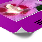 BERMUDA POSTER (Hoek)