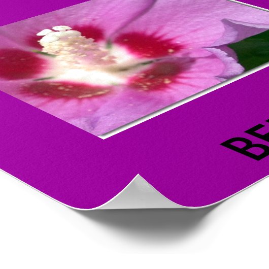 BERMUDA POSTER (Hoek)