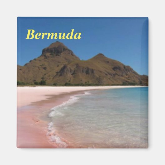 Bermuda roze stranden magneet (Voorkant)