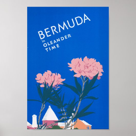 Bermuda Unedited  Foto's Old Aesthetic Pict Poster (Voorkant)