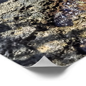 Bermuda Waters & Rocky Shoreline Poster Print (Hoek)