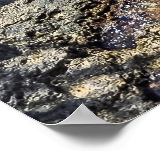 Bermuda Waters & Rocky Shoreline Poster Print (Hoek)