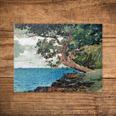 Bermuda Waterverf Schilting Winslow Homer Legpuzzel