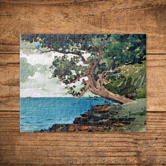 Bermuda Waterverf Schilting Winslow Homer Legpuzzel