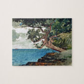 Bermuda Waterverf Schilting Winslow Homer Legpuzzel (Horizontaal)