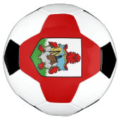 Bermudaanse vlag voetbal (Gedraaid)