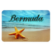 Bermudavis Magneet (Horizontaal)