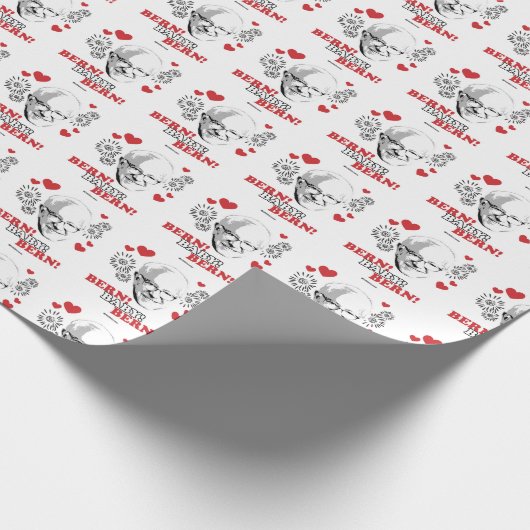 Bern Baby Bern Cadeaupapier (Hoek)