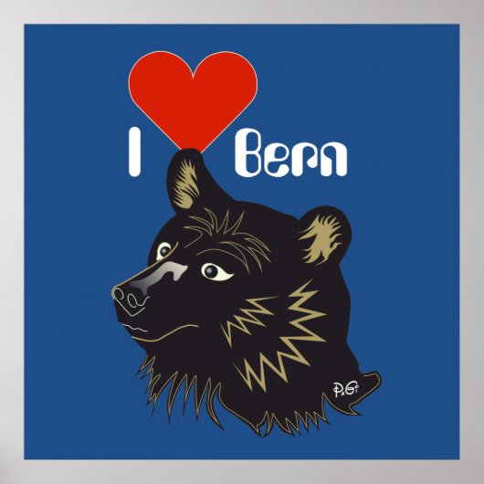 Bern, Bern, Berna, Bärn, Schweiz, Suisse, Poster (Voorkant)