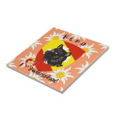 Bern Berne Berna Schweiz Suisse Fliese Tegeltje (Zijkant)