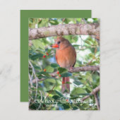 Bernadette Kerstmis Feestdagenkaart (Voorkant / Achterkant)