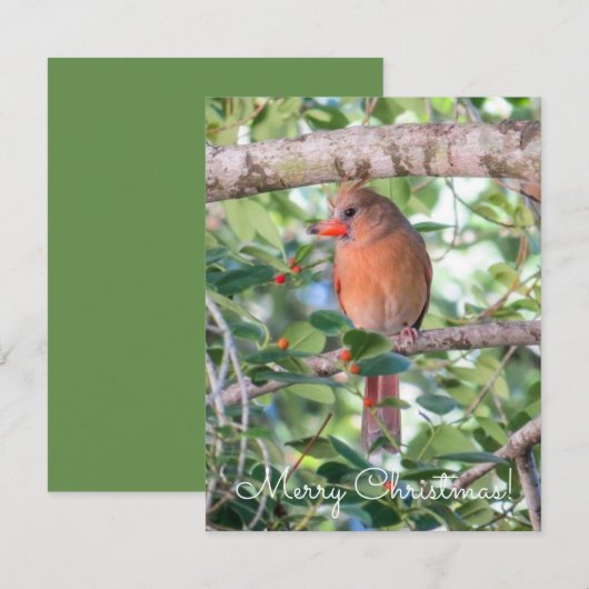 Bernadette Kerstmis Feestdagenkaart (Voorkant / Achterkant)