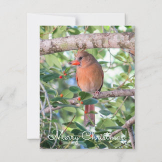 Bernadette Kerstmis Feestdagenkaart