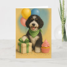 Bernadoodle verjaardag