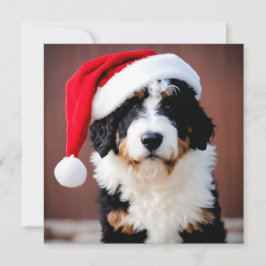 Bernedole Kerstmis