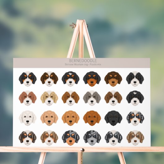 Bernedoodle Acryl Sign Bord (Neutraal)