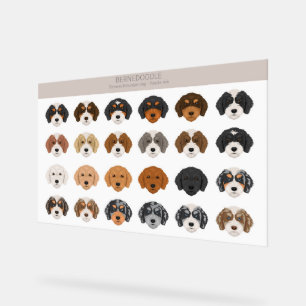 Bernedoodle Acryl Sign Bord