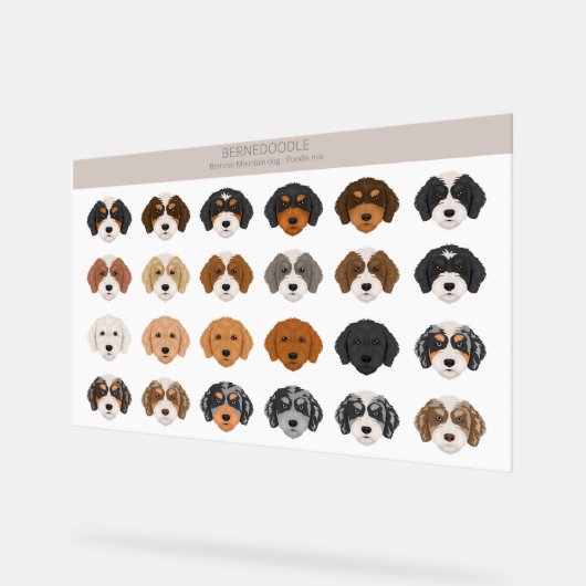 Bernedoodle Acryl Sign Bord (Hoek)