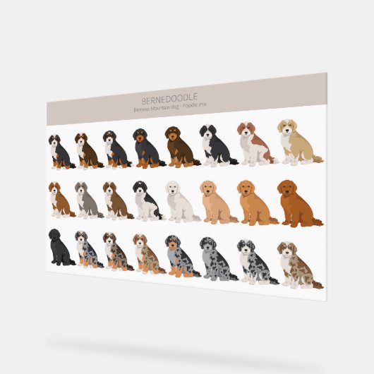 Bernedoodle Acryl Sign Bord (Hoek)