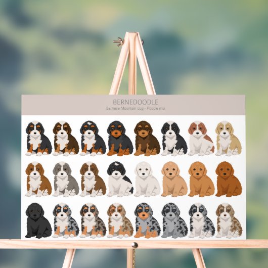Bernedoodle Acryl Sign Bord (Neutraal)