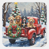 Bernedoodle Christmas Red Truck Holiday Vierkante Sticker (Voorkant)