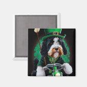 Bernedoodle Dog fiets St. Patrick's Day Magneet (Voorkant / Achterkant)