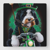 Bernedoodle Dog fiets St. Patrick's Day Vierkante Klok (Voorkant)
