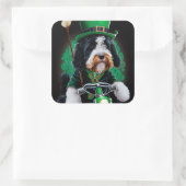 Bernedoodle Dog fiets St. Patrick's Day Vierkante Sticker (Tas)