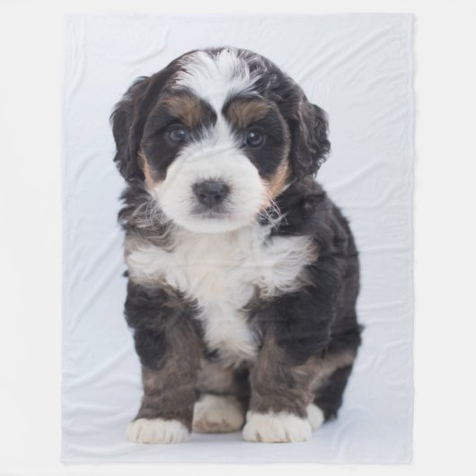 Bernedoodle Fleece Blanket (Voorkant)