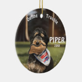 Bernedoodle Football Definieer Probleem Ornament (Rechts)