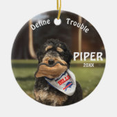 Bernedoodle Football Definieer Probleem Ornament (Voorkant)