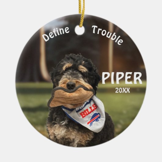 Bernedoodle Football Definieer Probleem Ornament (Voorkant)