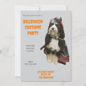 Bernedoodle Hond in Pirate Halloween Kostuumfeest Kaart (Voorkant)