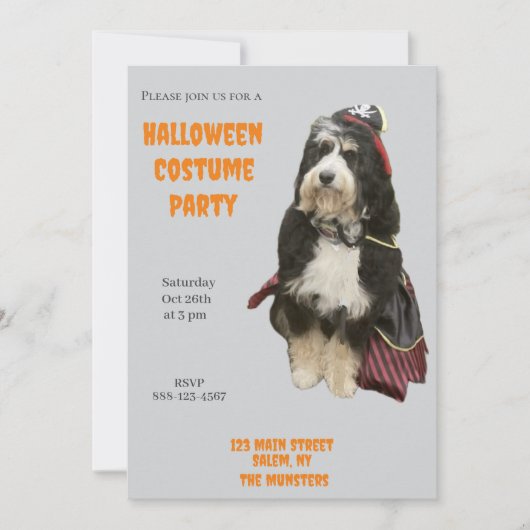 Bernedoodle Hond in Pirate Halloween Kostuumfeest Kaart (Voorkant)
