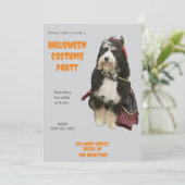 Bernedoodle Hond in Pirate Halloween Kostuumfeest Kaart (Staand voorkant)