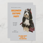 Bernedoodle Hond in Pirate Halloween Kostuumfeest Kaart (Voorkant / Achterkant)