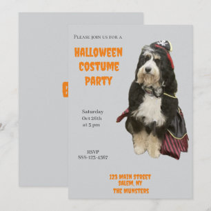 Bernedoodle Hond in Pirate Halloween Kostuumfeest Kaart