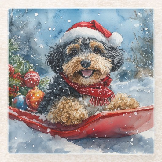 Bernedoodle Hond in Sledge Laat het Sneeuw Kerstmi Glazen Onderzetter (Voorkant)