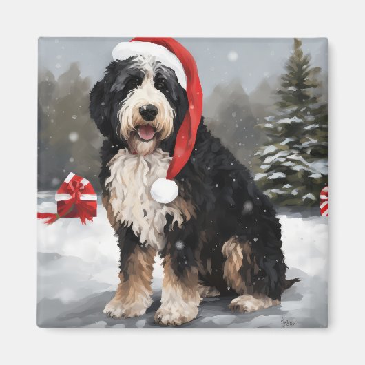 Bernedoodle Hond in Sneeuw Kerstmis Magneet (Voorkant)